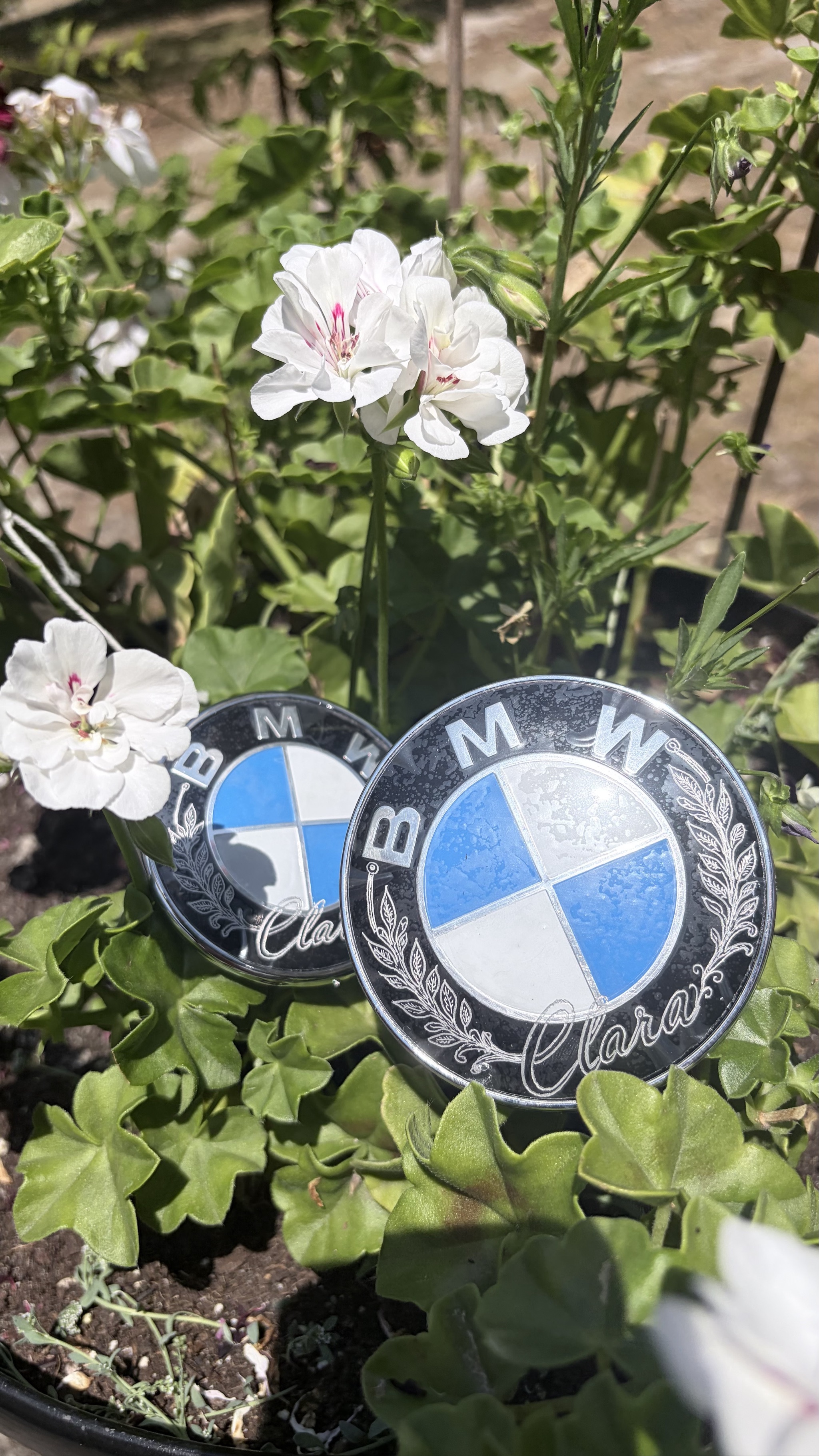 Photo de Honigravure 5